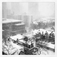 Winter arrives in Toronto